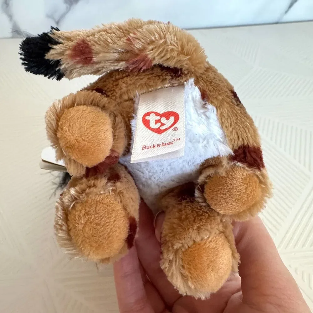 TY Beanie Boos -BUCKWHEAT the Lynx (Glitter Eyes, 6
